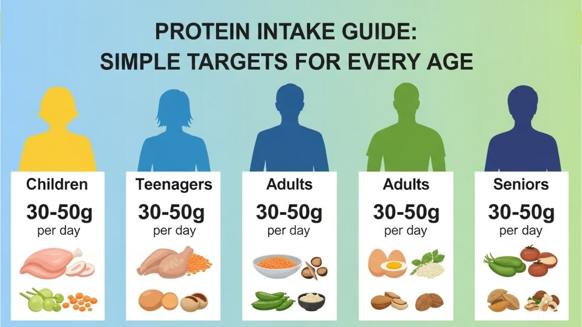 Protein Intake Guide Sets Simple Targets For Every Age