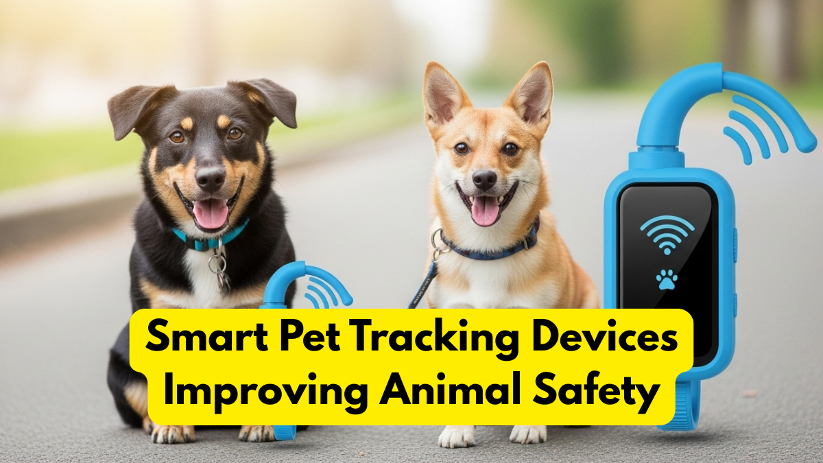 Smart Pet Tracking Devices Improving Animal Safety