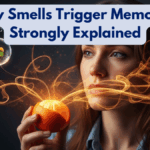 Why Smells Trigger Memories Strongly Explained